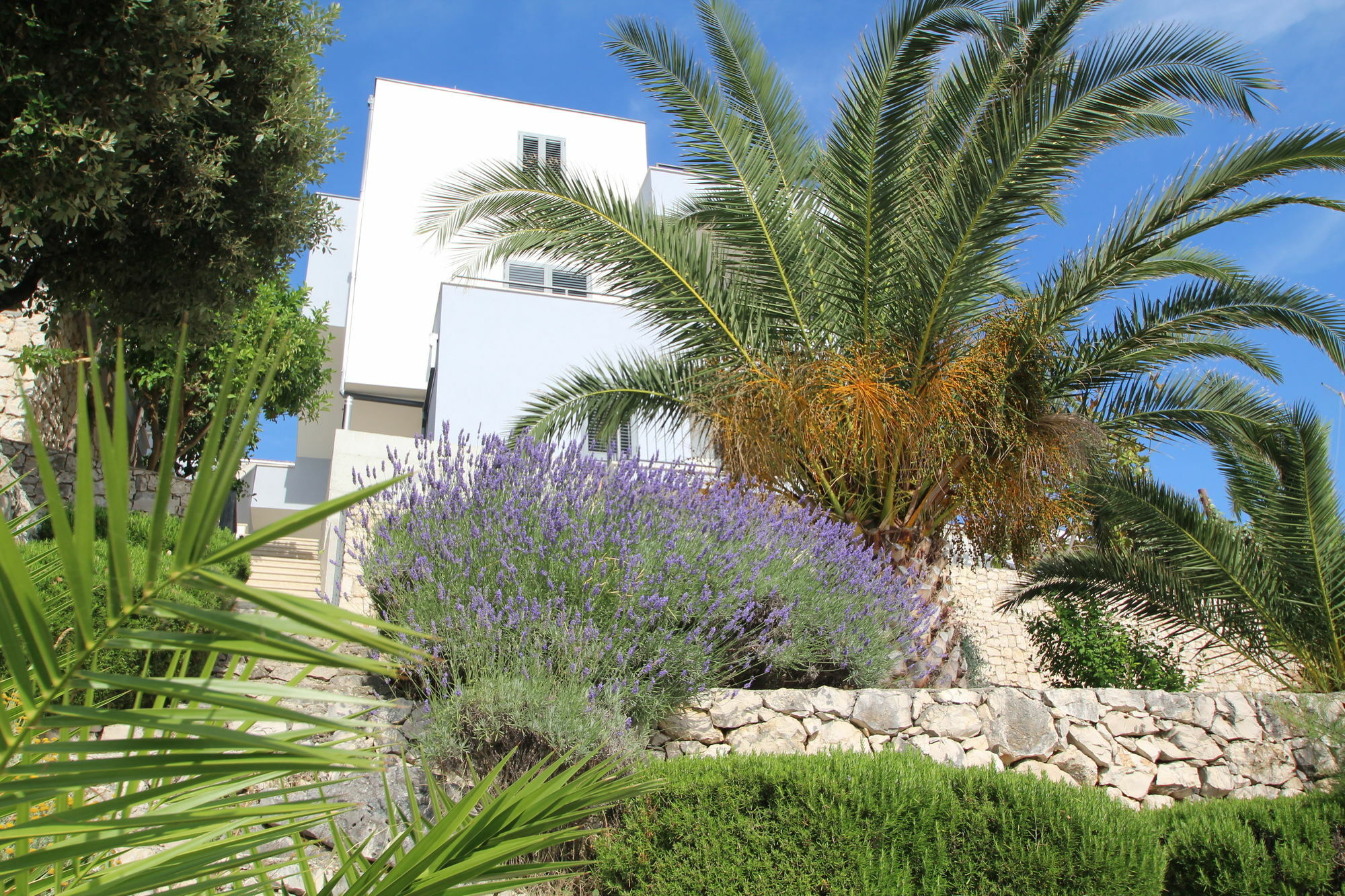 רוגוזניצה Villa Lavanda Deluxe מראה חיצוני תמונה
